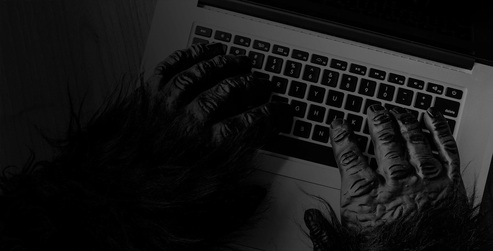 Estrutura digital organizada em diferentes canais